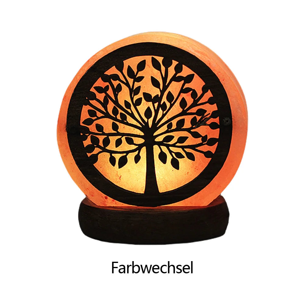 Himalayan Salt Lamp – LED Crystal Night Light